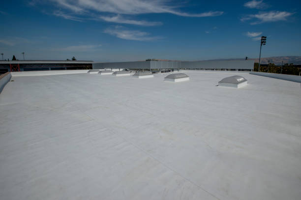 Best Sheet Metal Roofing  in San Clemente, CA